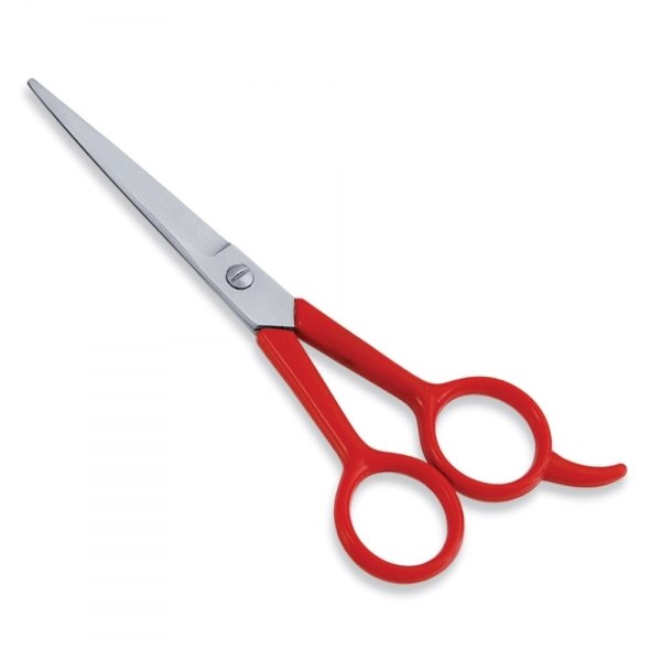 Economy Hair Cutting Scissor