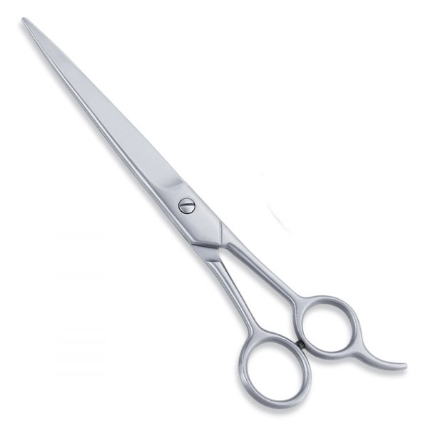 Economy Hair Cutting Scissor