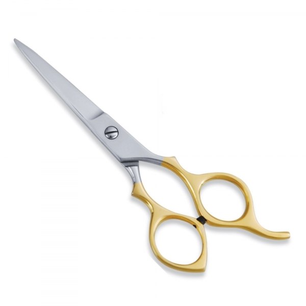 Economy Hair Cutting Scissor
