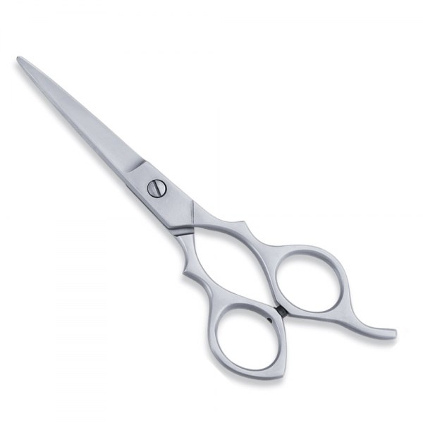 Economy Hair Cutting Scissor