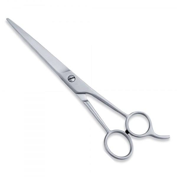 Economy Hair Cutting Scissor