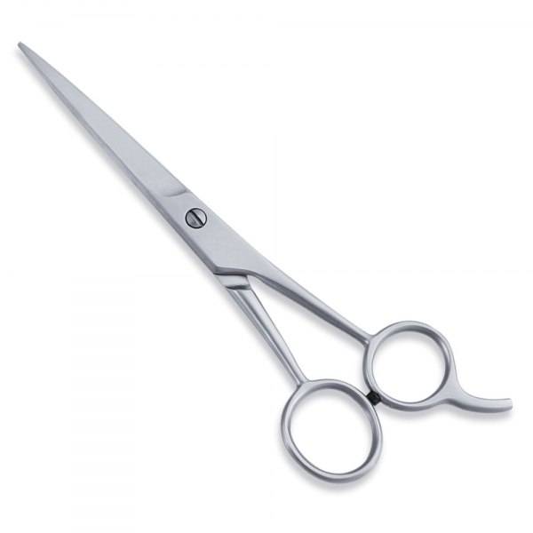 Economy Hair Cutting Scissor