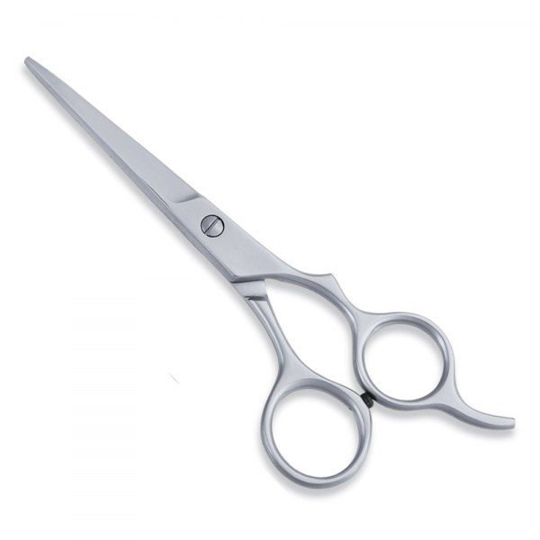 Economy Hair Cutting Scissor